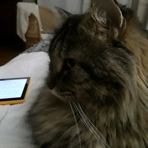 Meet your Posher, Teri